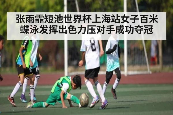 张雨霏短池世界杯上海站女子百米蝶泳发挥出色力压对手成功夺冠 - kaiyun.com
